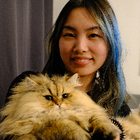 Profilbild für Lingru K