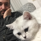 Profilbild für Mehmet T