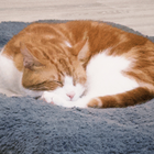 Avatar for Yolanda K