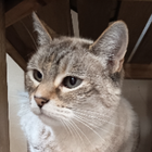 Avatar pour angele B