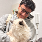 Profilbild für Sarper T