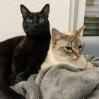 Profilbild für Victoria B