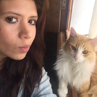 Profilbild für Dolores M