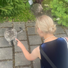 Profilbild für Luise H