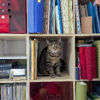 Profilbild für Philipp E