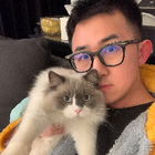 Profilbild für Leilei F