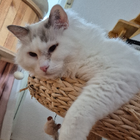 Profilbild für Elisabeth K