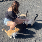 Avatar for Rachele B