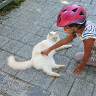 Profilbild für Leticia D