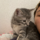 Avatar pour Sabine H