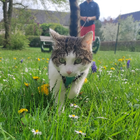 Profilbild für Tim H
