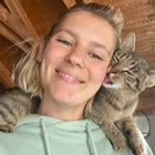Profilbild für Viktoria B