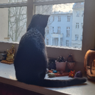 Profilbild für Lusnika K