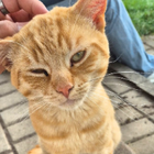 Profilbild für Ilyar M