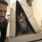 Profilbild für Guido S