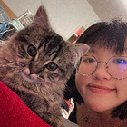 Profilbild für Yucen J