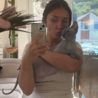 Profilbild für Anastassia Z