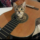 Profielfoto voor Carla F