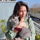 Profielfoto voor Noelia O