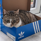 Avatar for Catherine C