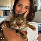 Profilbild für Angelica C