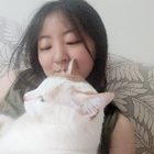 Profilbild für Yating Y