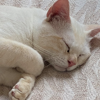 Profilbild für Tanja S