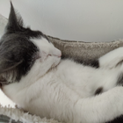 Avatar pour Jérémy F