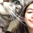 Profilbild für Melanie B