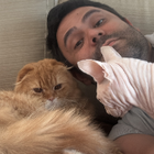 Profilbild für Aluizio A