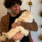 Profilbild für Jeff S