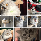 Profilbild für Marwa A