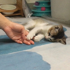 Avatar for Yanting C