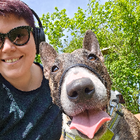 Profilbild für Ulrike P