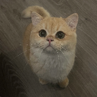 Profielfoto voor Kathy L