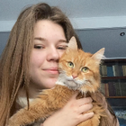 Profilbild für Svitlana L