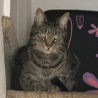 Avatar for Natalie D