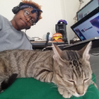 Profilbild für Crystal N