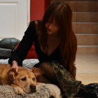 Avatar pour Morgane V