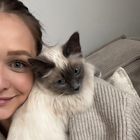 Profilbild für Svenja P