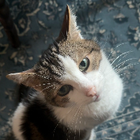 Profielfoto voor Shanna J