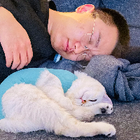 Profilbild für Linxi L