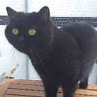 Profilbild für Caroline B