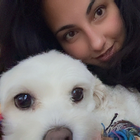 Profilbild für Gül G