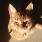 Profielfoto voor Madelon S