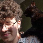 Profilbild für Neven F