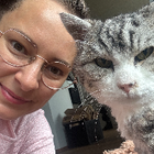 Profilbild für Katzen Mami N
