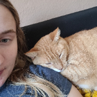 Profilbild für Gesine O