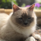 Profilbild für Julia K