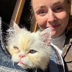 Profilbild für Manuela I